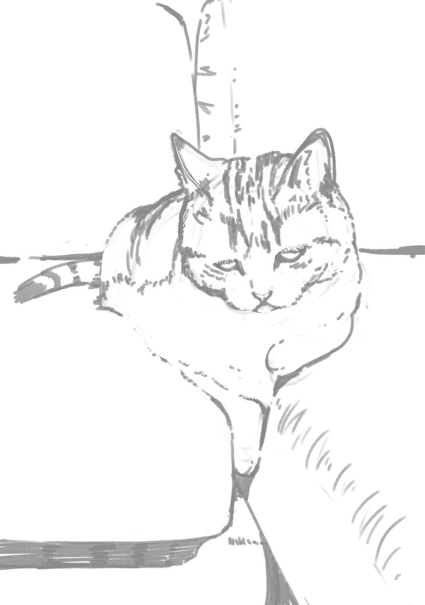 猫描く 