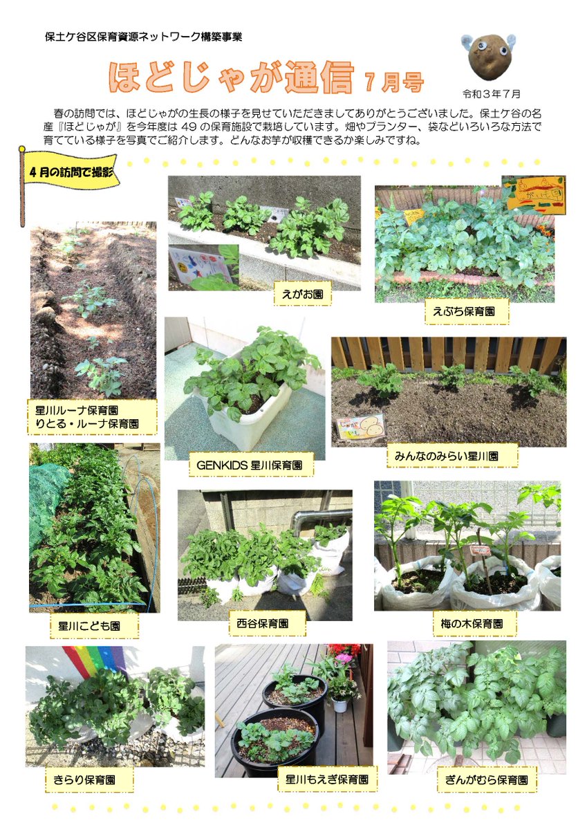 横浜市保土ケ谷区役所 相葉マナブ でも紹介された 保土ケ谷区 の名産 ほどじゃが 区内の 保育園 保育園 の 園児 が栽培しています ほどじゃが通信 では 子どもたちの育てている様子を紹介中 次号では収穫やその後の様子をお伝えします 横浜市保土ケ谷区役所 相葉マナブ でも紹介された 保土ケ谷区 の名産 ほどじゃが 区内の 保育園 保育園 の 園児 が栽培しています ほどじゃが通信 では 子どもたちの育てている様子を紹介中 次号では収穫やその後の様子をお伝えします