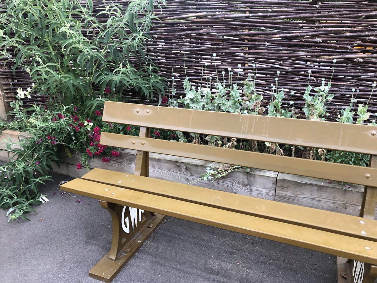 Flowers not so great this year #NursesActive #ImperialActive