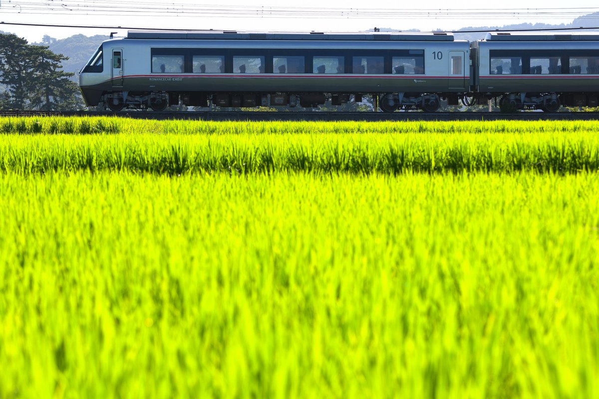 Pbs Twimg Com Media E77kg Vuyaadutr Jpg