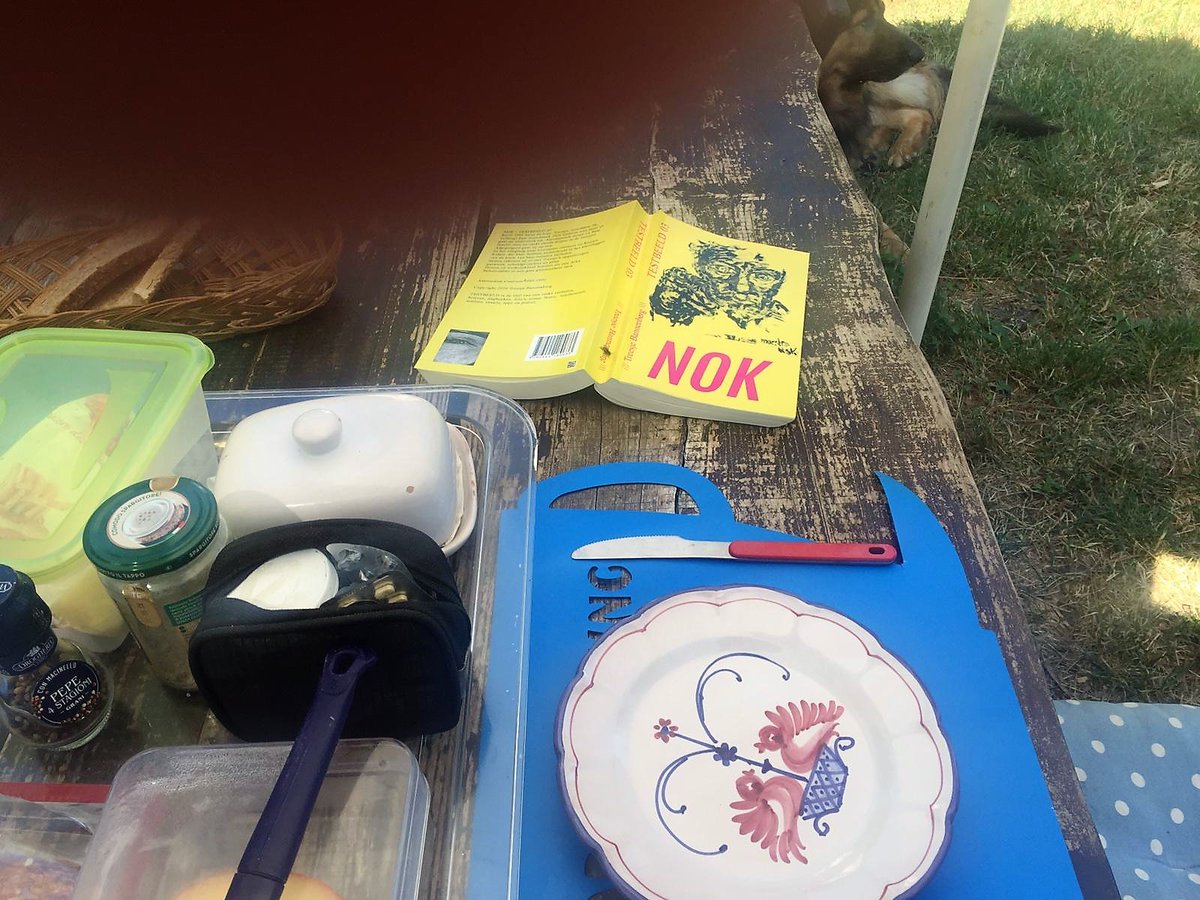 TreesjeB's tweet photo. NOK-Testbeeld 03 ligt op een ontbijttafel in Italië! Gespot en verstuurd met dank aan vriendin Yootje:
"Excuses voor vinger, foto heimelijk snel gemaakt hihi. Lag ook nog een hond!"
#lezersfoto #traditie #testbeeldreeks #trilogie
Bij elke boekhandel in NL en Vlaanderen. https://t.co/ysHCpXv8vA