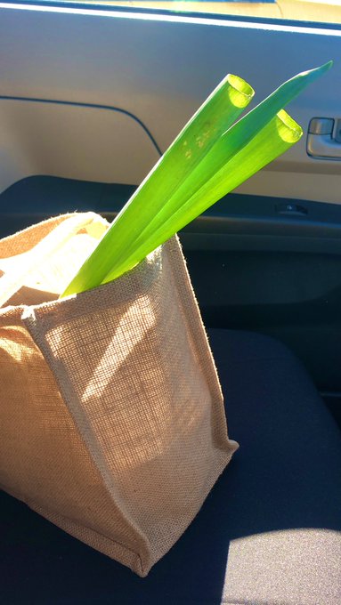 コスプレイヤーまるすけのTwitter画像12