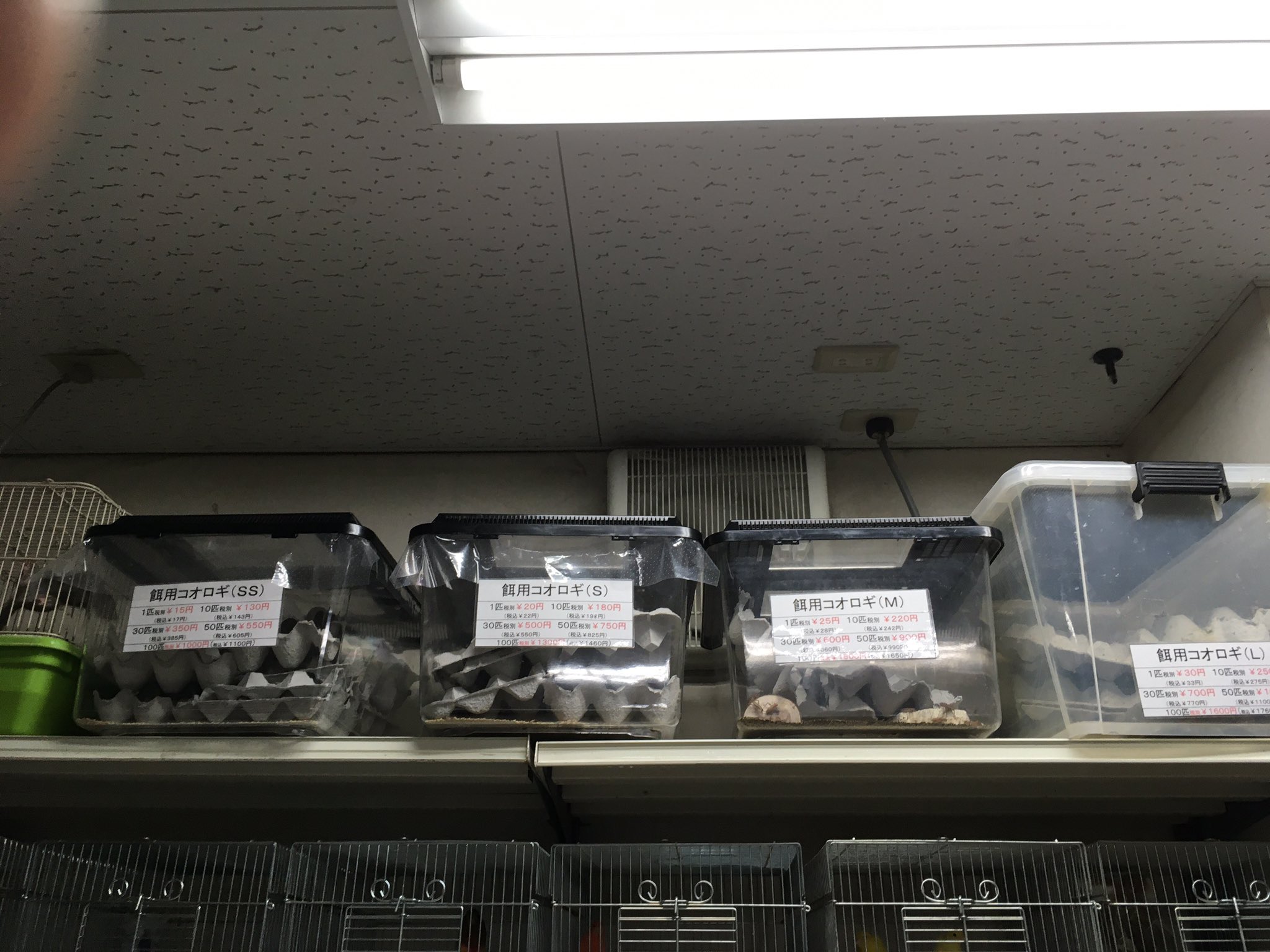 マナウス板橋店 Manaus Itabashi Twitter