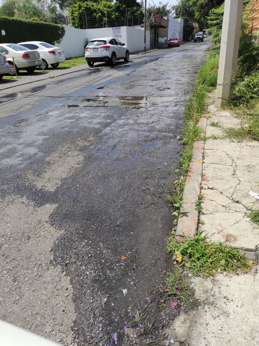 edder_dominguez's tweet photo. @SAPACCuernavaca Fuga de agua de 3 semanas, calle Morelos casi esquina Vicente Guerrero en Acapantzingo https://t.co/sJ9ory6Dz2
