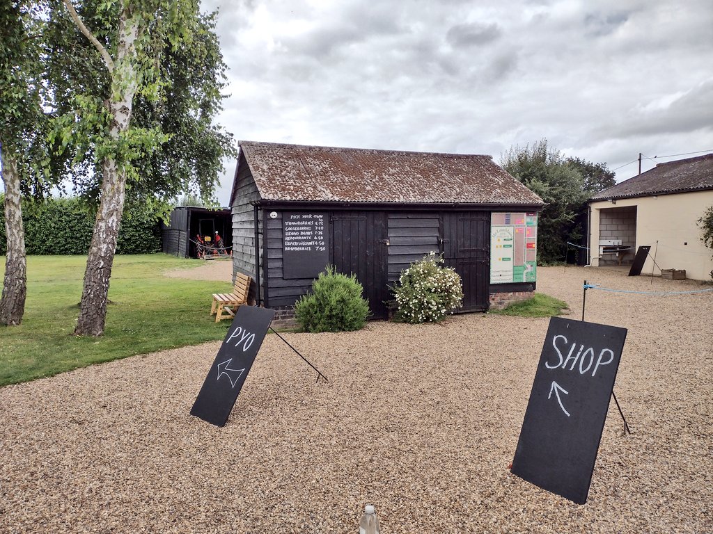 Healthy_Holiday's tweet photo. There's still a few Little Scarlet strawberries to pick plus lots of raspberries @boxtedberries in #Essex
@VisitEssex #staycations #escapetheeveryday #wanderlustonassignment https://t.co/f6Dq4b007F