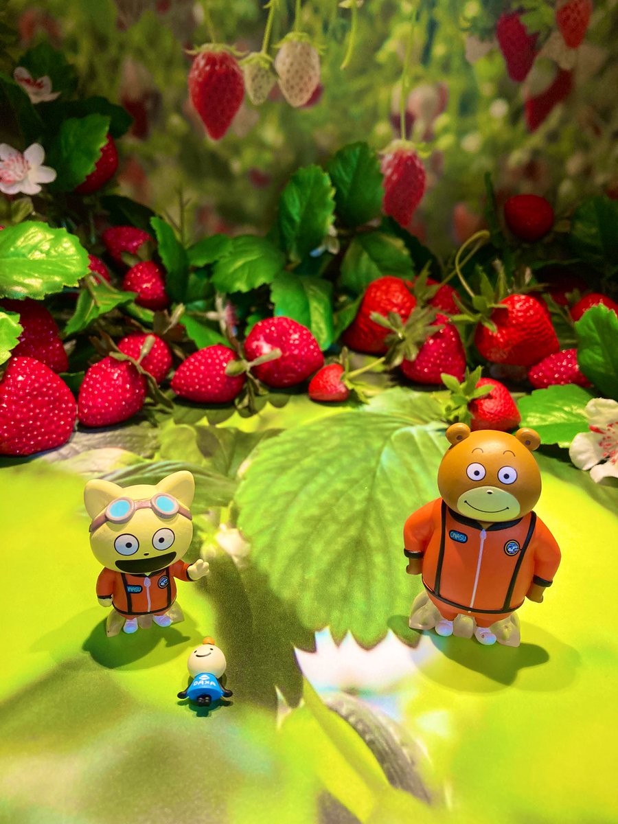 玉木雅士 Masashitamaki Twitter