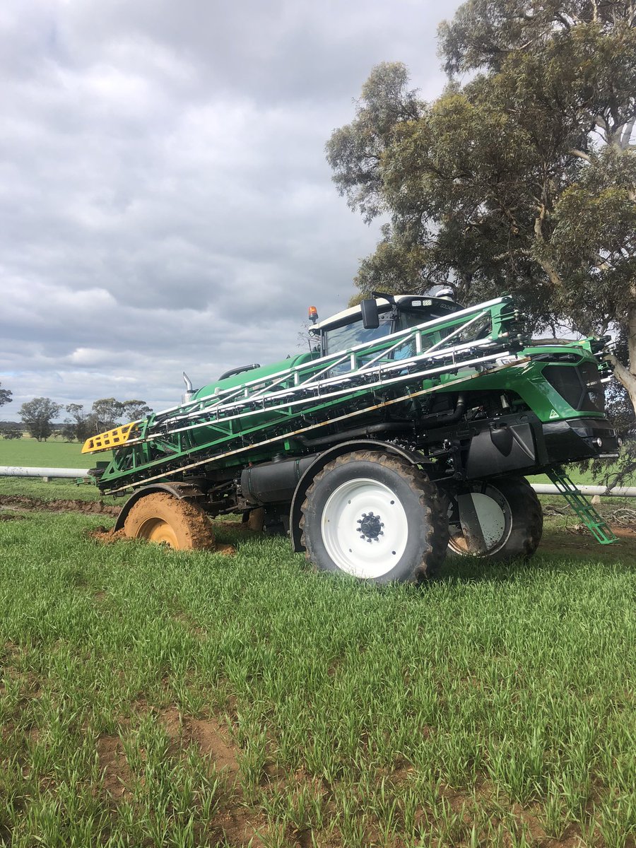 Darren Wilson tweet media