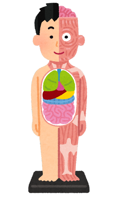 いらすとやのtwitterイラスト検索結果 古い順