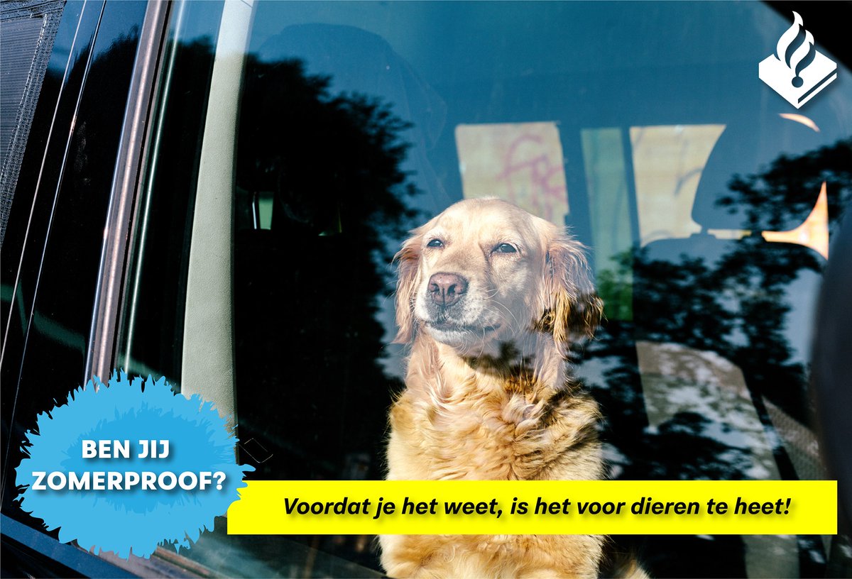 POL_Fryslan's tweet photo. Ben jij #zomerproof? Dieren hebben tijdens warme dagen een koele ondergrond, een schaduwplek en vers water nodig. Zie je een dier in problemen? Bel dan met #112 of met #144. π De politie en dierenambulance komen ter plaatse om de hond te bevrijden en de nodige hulp te geven. https://t.co/OWye1ul0xu
