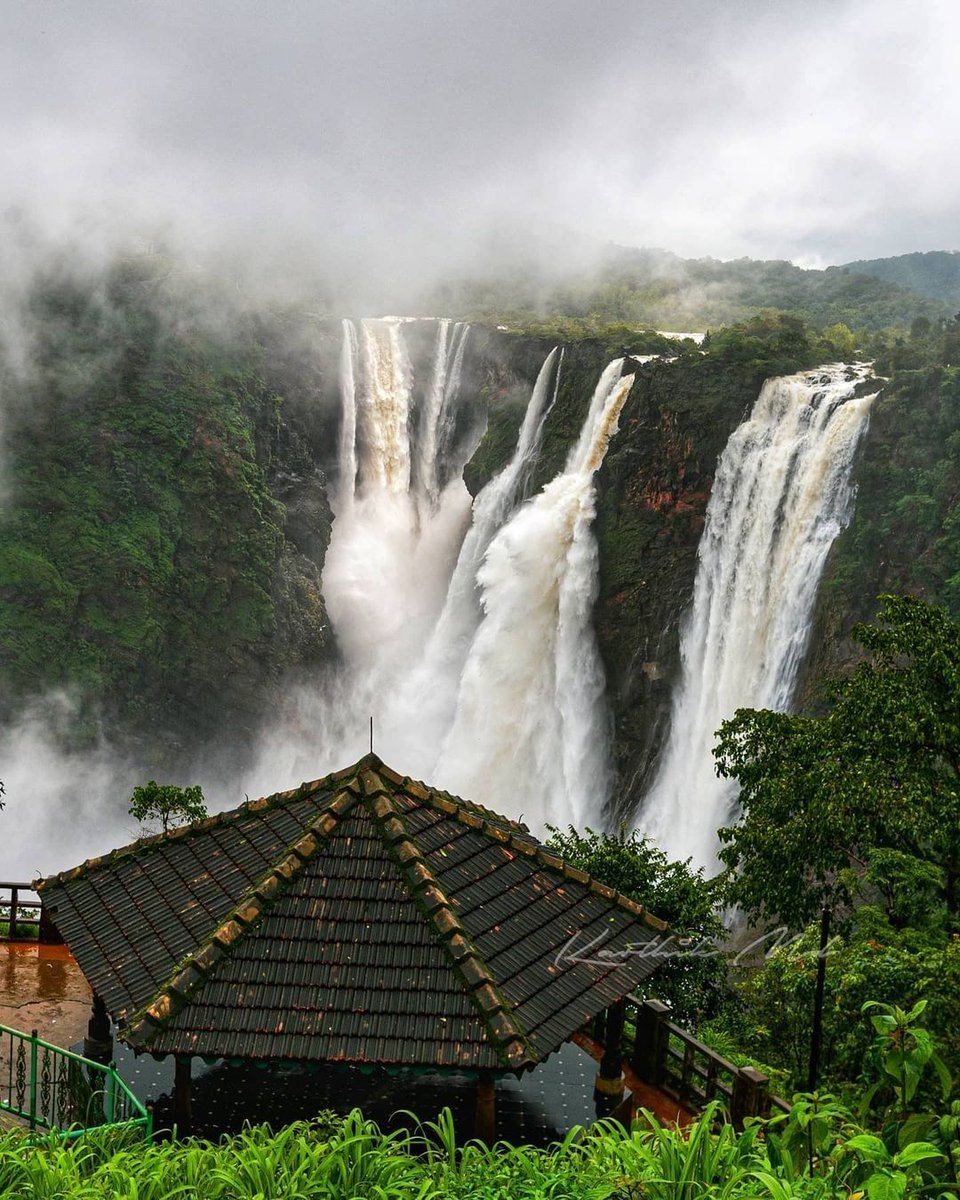 SumeruHolidays's tweet photo. One word for this beauty. ❤️

@KarnatakaWorld https://t.co/cHe1KWez5g