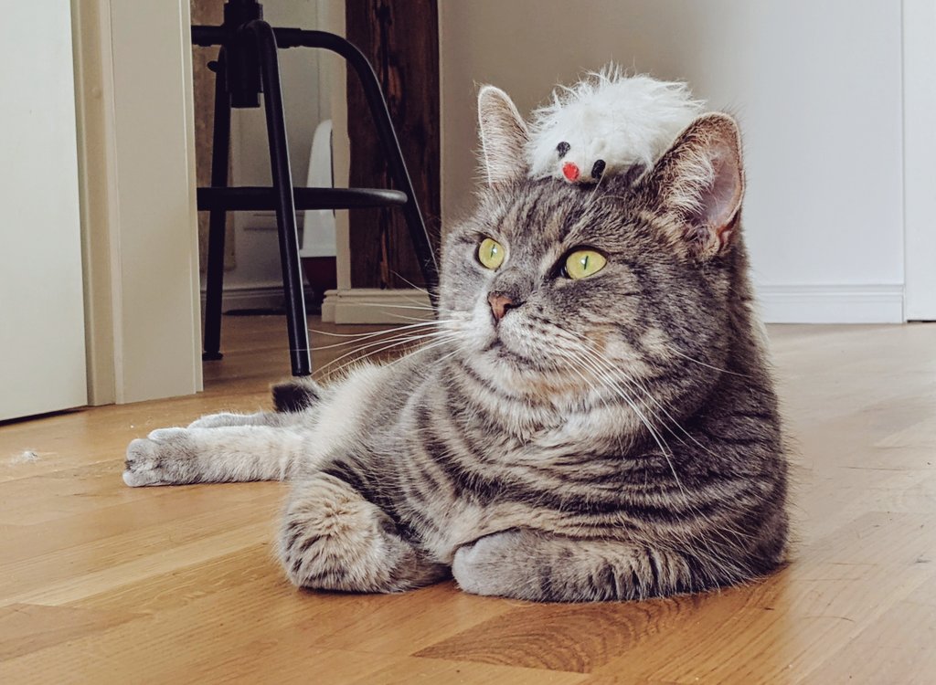 KajaKeks tweet media