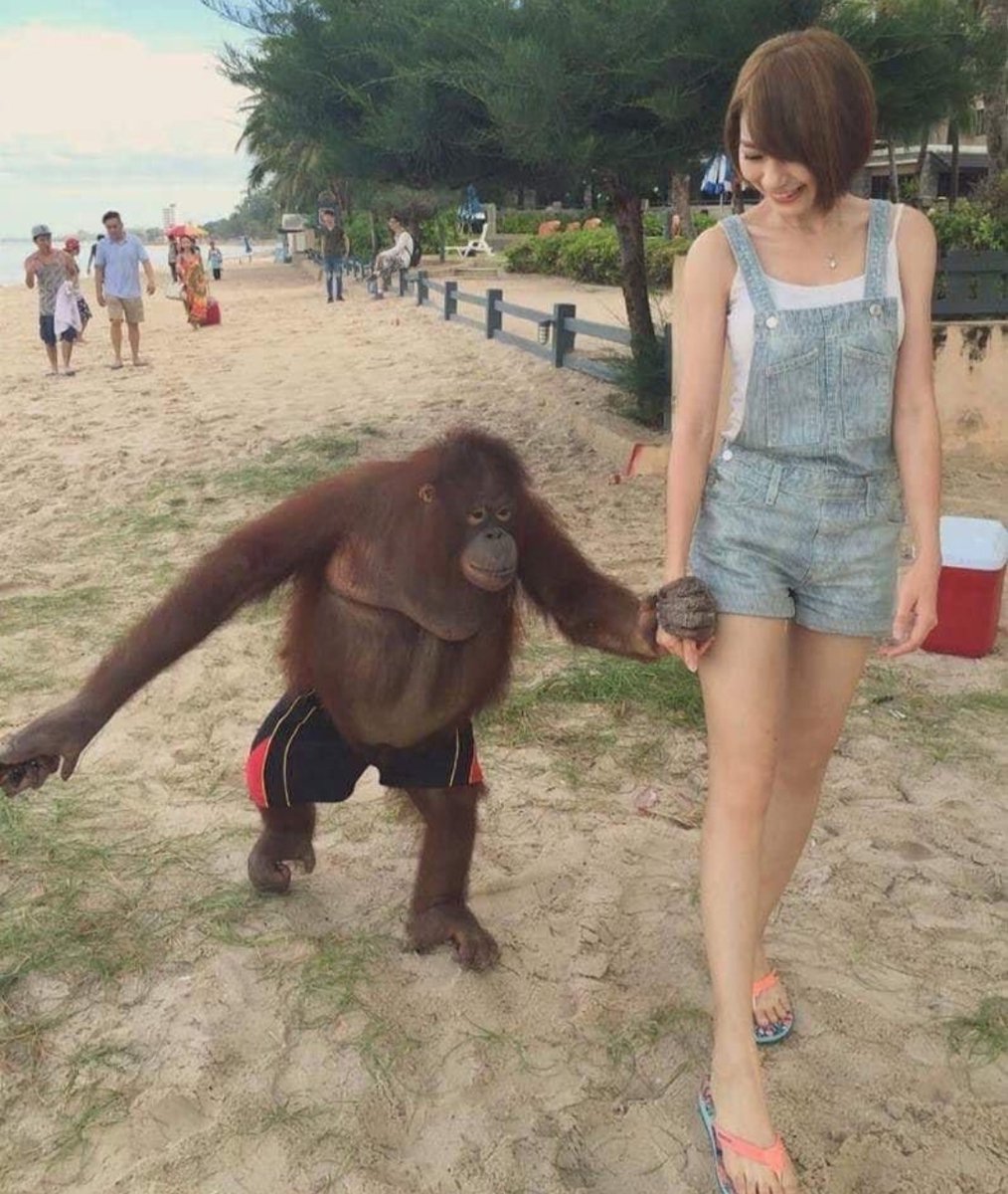 AceStatusBot's tweet image. hit 28* million total commands used yesterday 

pretty cool