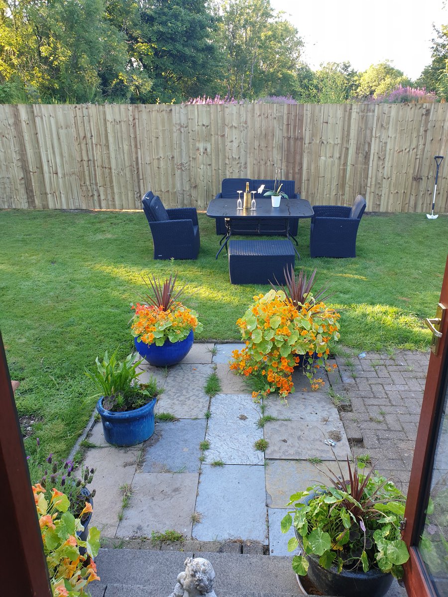 beaton_bruce's tweet photo. New fence erected yesterday to define #Plot3 #Plot4 all laid out for breakfast! ๐๐ฅโ๐พ https://t.co/wdzziMedSr