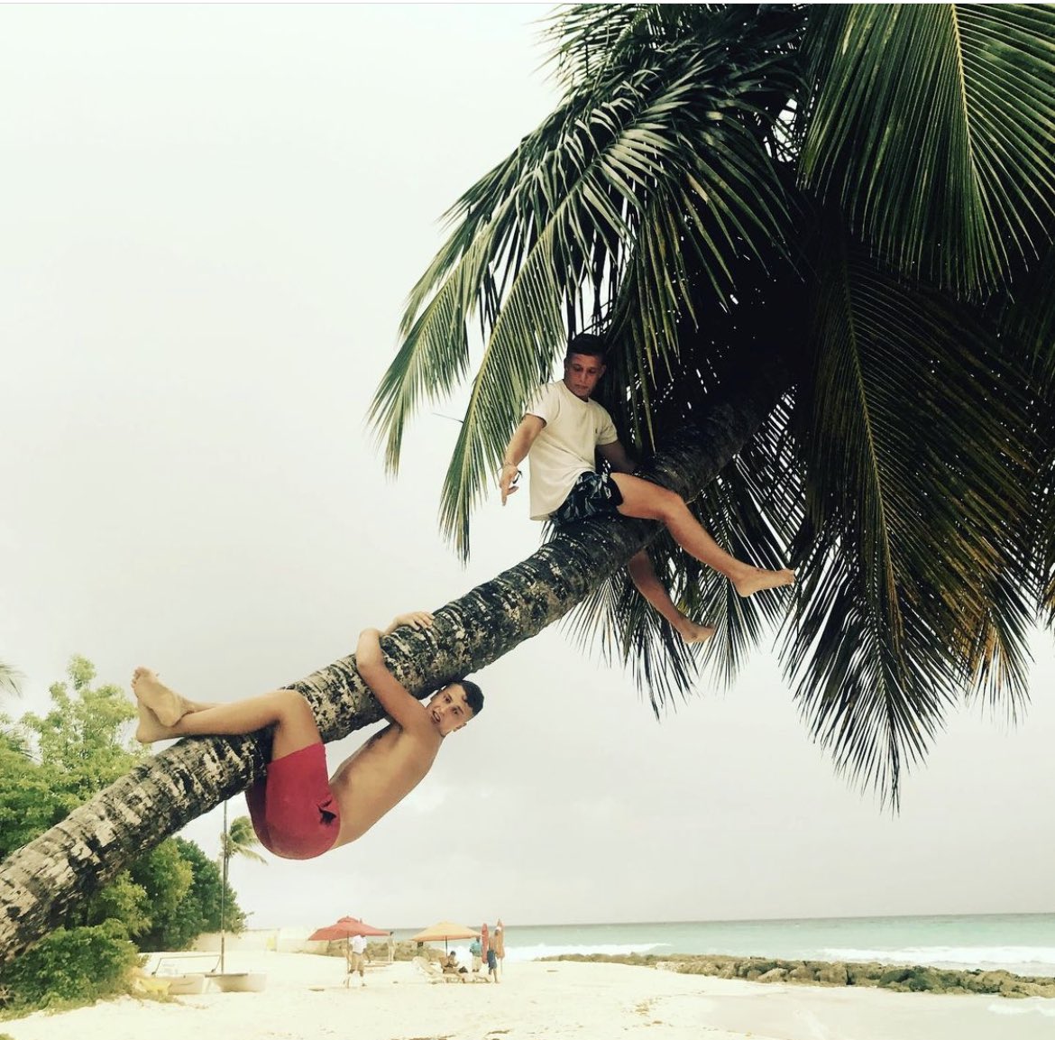 AmoreBarbados's tweet photo. #Barbados is the best island to visit with the kids…or the big kids?😅✌🏼#holidayvacay #palmtrees #beachlife #barbadostravel #islandlife #islandvibes #holidayvibes #palmtreelife #bigkids #livebythesea #beachhouse #sandytoes #bim #boostingbarbados #onewithnature #livefree https://t.co/aIChVeTxhH
