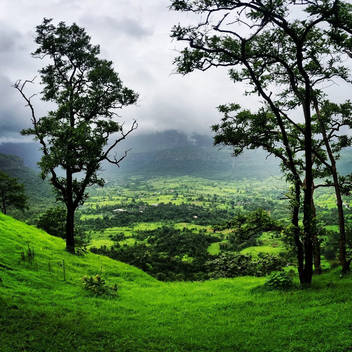 servemotherland's tweet photo. Mera Kashmir🙂
#MoujKasheer
#BahaarEKashmir
#NouKasheer
#SofieKashmir
#Myunkasheer
#PuraminEKashmir https://t.co/YZo4nMuN9a