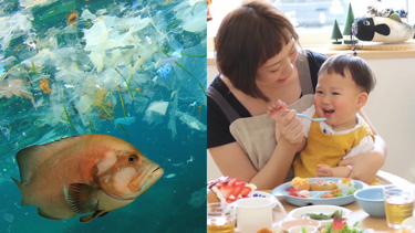 Web_Japan's tweet photo. The volume of plastic waste continues to grow and has become a significant global #environmentalproblem. We’ll introduce Japanese companies seeking solutions, with #bioplastics being one promising recent development.
<English> https://t.co/fULeuQeqQ2
#WebJapan #JapanVideoTopics https://t.co/KxB3L8c0Lp