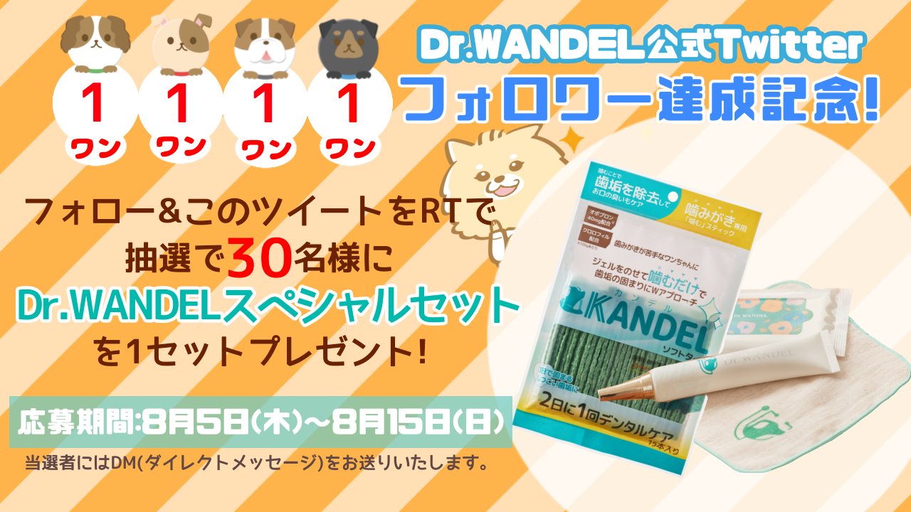 Dr.wandel セット