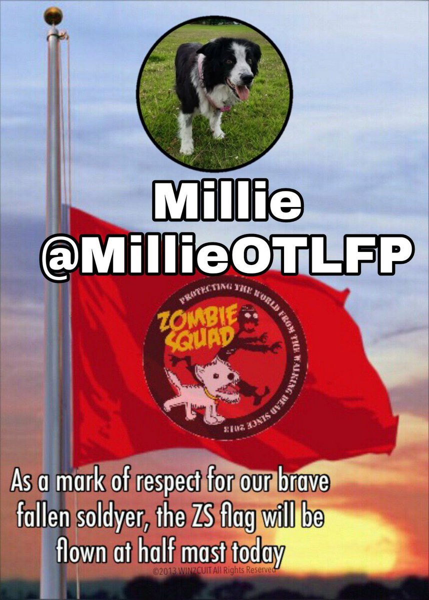 ZombieSquadHQ💖💚🧡💚🩵© tweet media