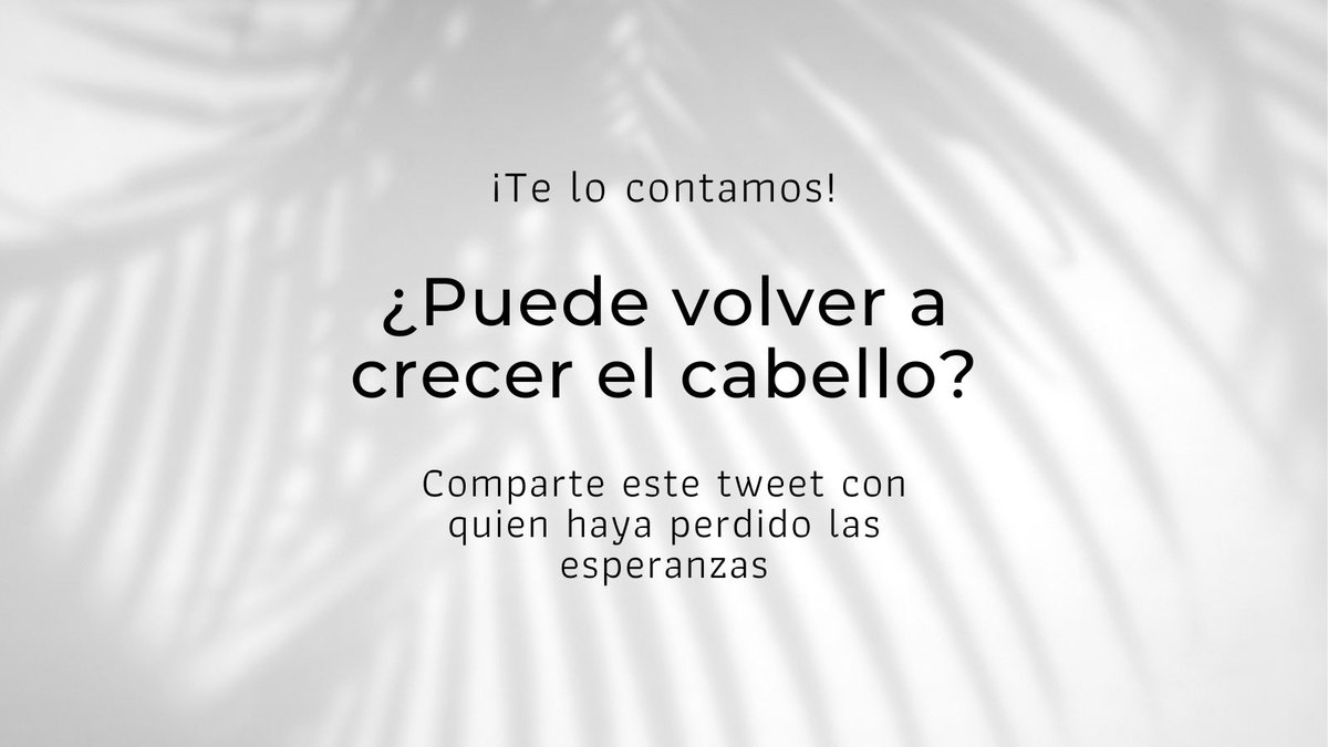 VR6Definitive's tweet photo. Siempre que haya folículos pilosos (la cavidad donde crece el #pelo), el #cabello puede volver a crecer.
El resto es alimentarlo y cuidarlo, y puedes hacerlo con nuestros tratamientos 100% naturales #premiumvr6 o #evolutionvr6 🌿. https://t.co/3J6AIQY5pF