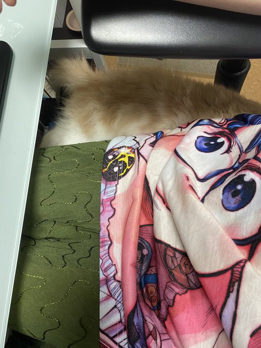 最初は仕事中にニャーニャー鳴いて邪魔してたけど隣で寝るようになって草
めっちゃ空気読めるヤツやん

#プーちゃん日記 