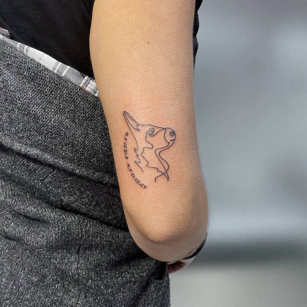 artidoto's tweet photo. Que alguien confíe en ti para que le hagas un diseño siempre tiene algo de especial, pero si encima es un tatuaje con una fuerte carga emocional y simbólica para esa persona, pues todavía mucho más.
#artídoto #artídotoestudio #diseñográfico #tatuaje #ilustración #unalinea #tattoo https://t.co/Ok7ixAlB4e