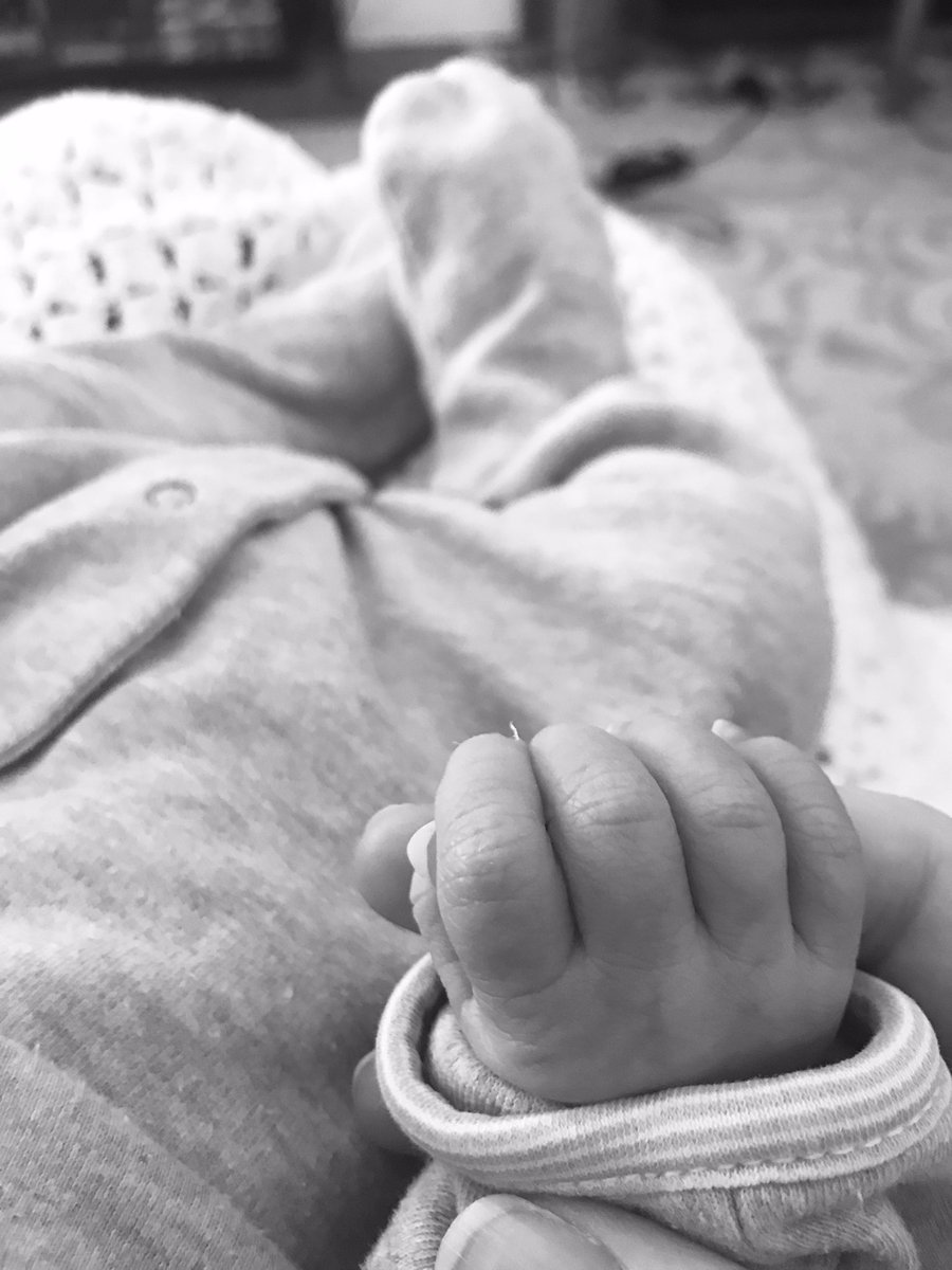 Dr Rebecca McDonald tweet media