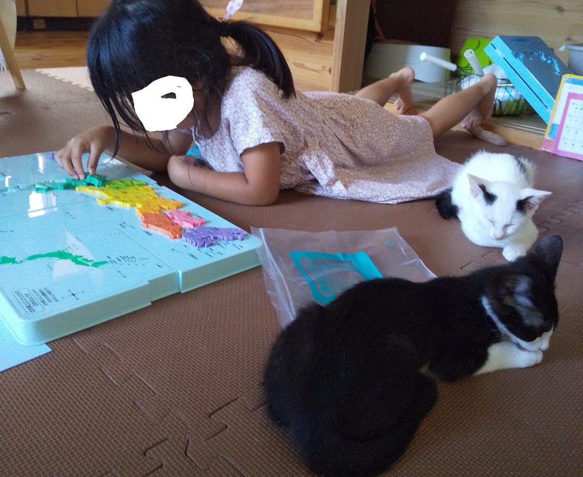 幼稚園児の夏休み 幼稚園児の夏休み