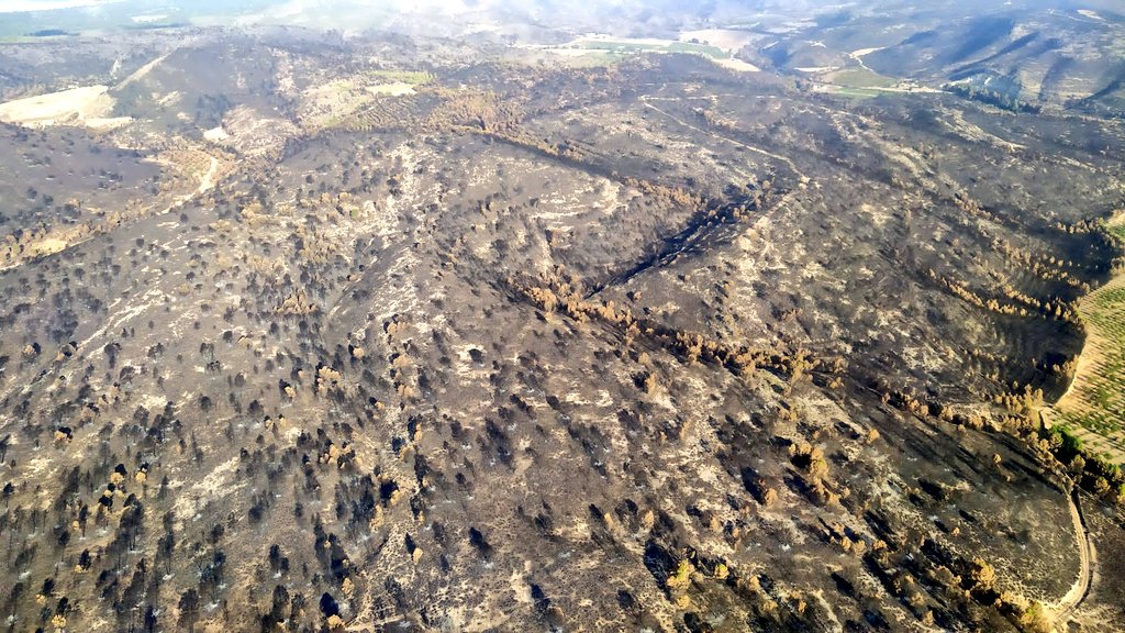 MeteoHellin's tweet photo. 😓🔥Qué tristes estas imágenes aéreas que nos llegan de la zona calcinada del #IFLiétor-#IFTalave. Fotografías de la Sierra de Peña Lavada, Puentes de Isso y Monte Grajas. 

⚫Otro verano más, un trozo de nuestro entorno se vuelve a teñir de negro. #IIFF #Albacete #meteoAB https://t.co/3T3G8si4dl