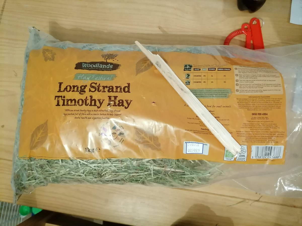 lorraine baigent 🏴 tweet media