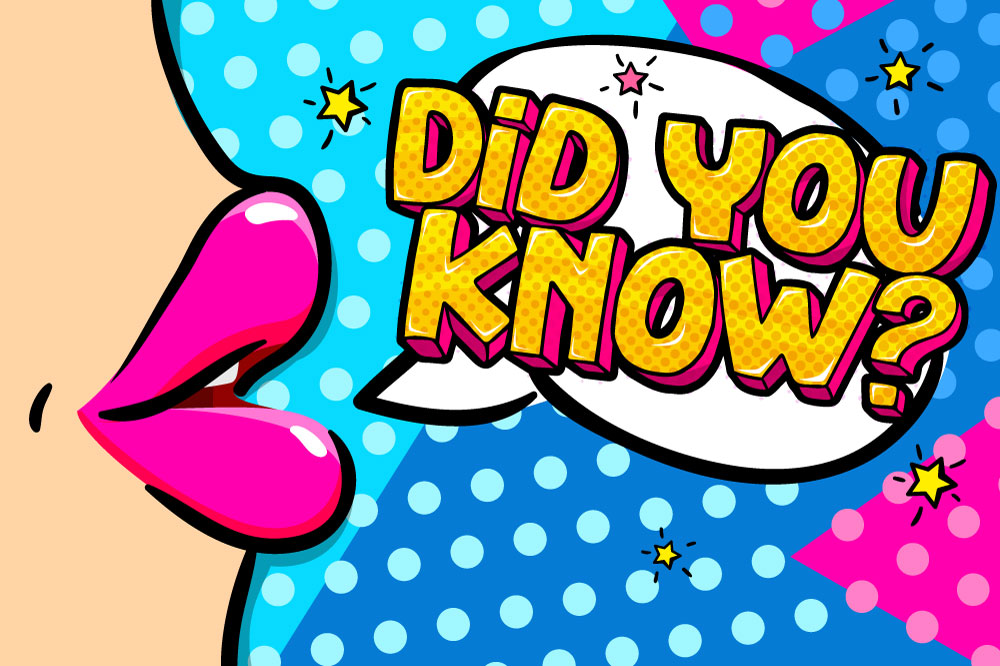 Some #Quiz Nights for you. Live &amp; online.
quizmastershop.com/blogs/blog/sep… #QuizNight #PubQuiz #QuizTime #PubQuizNight #VirtualPubQuiz @OldDairyN4Quiz <a href="/RobbiesQuiz/">Robbie's Online Quiz 👻🏠❓</a> <a href="/innonthegreenbr/">The Inn on the Green</a> <a href="/HemingwaysJ/">Hemingways • Jomtien</a> <a href="/Quizbritain/">Ian Woolley 🇬🇧</a> <a href="/AcademyPlatfor1/">Academy @Platform</a> <a href="/enigmatistelgar/">John Henderson</a> <a href="/FrankMPaul/">Frank Paul</a> <a href="/PlanningActBlog/">Angus Walker</a> <a href="/hampshirebowman/">The Hampshire Bowman</a>