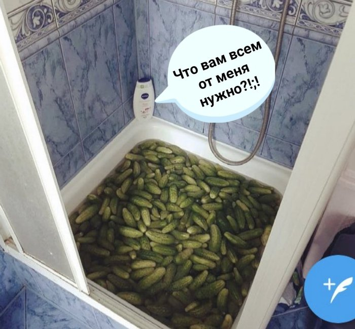 E77oEUIWQAAYnQ_.jpg