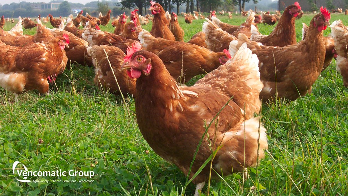 𝐕𝐚𝐜𝐚𝐭𝐮𝐫𝐞: 𝐏𝐫𝐨𝐜𝐞𝐬𝐬 𝐄𝐧𝐠𝐢𝐧𝐞𝐞𝐫 𝐒𝐚𝐥𝐞𝐬 &amp; 𝐒𝐞𝐫𝐯𝐢𝐜𝐞

Wil jij onze Sales &amp; Service processen digitaliseren en automatiseren? Dan hebben we een flink investeringsbudget voor jou! Durf jij de uitdaging aan? 👉 bit.ly/3rT0pXE