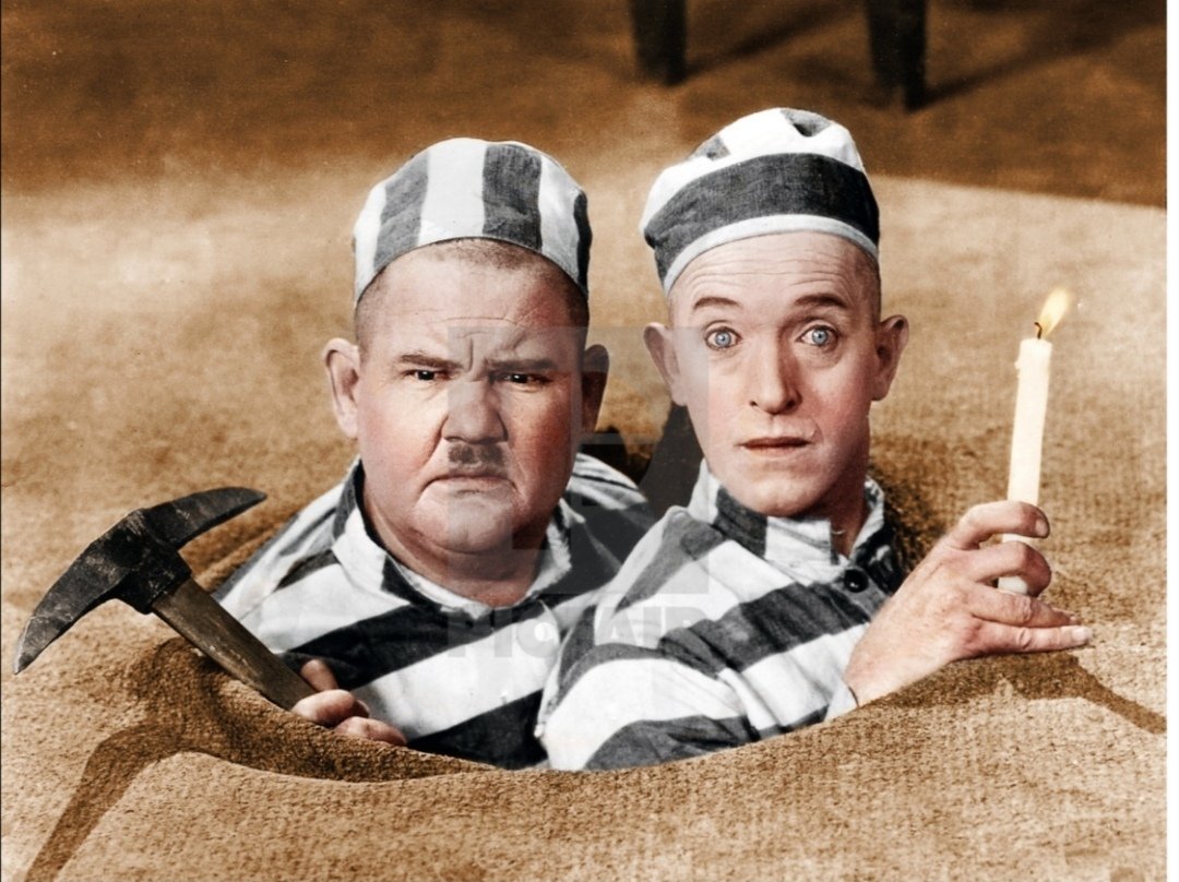 Barra Fitzgibbon tweet media