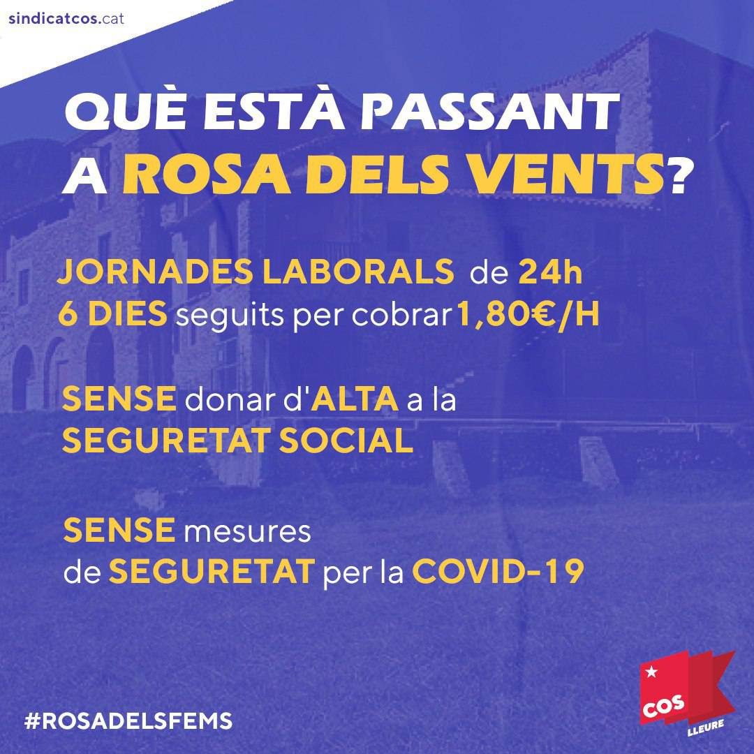 CLleure's tweet photo. Les treballadores de @Rosa_dels_Vents s’alcen per a aturar la barbàrie que l’empresa perpetua dia a dia en matèria de condicions laborals a les treballadores. @Rosa_dels_Vents, prepareu-vos. No sempre estareu al millor bàndol.
#rosadelsfems https://t.co/4GWuKJiJ8T