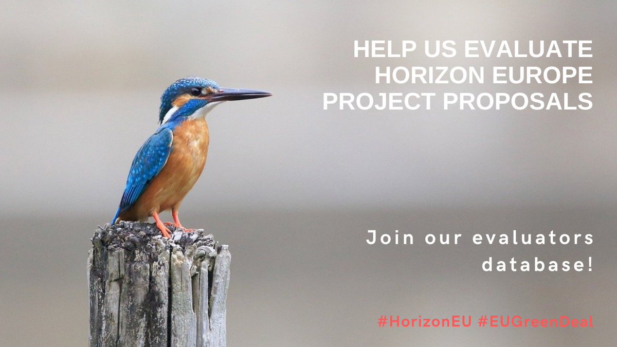 We are looking for experts to evaluate #HorizonEU🇪🇺 funding proposals.

🟧OBSERVE policy orientation 
🟨LEARN about #innovative ideas in Europe
🟫EXCHANGE views with other experts 

More info on the profiles we need and how to register:
europa.eu/!mRBWjy