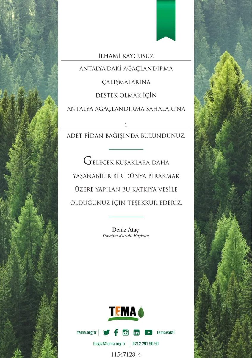Gelecek kuşaklar için ailecek fidanlarımızı bağışladık.
Dörtnala gelip Uzak Asya'dan Akdeniz'e bir kısrak başı gibi uzanan bu memleket, bizim.
....
Yaşamak bir ağaç gibi tek ve hür
ve bir orman gibi kardeşçesine, bu hasret bizim... Nazım Hikmet