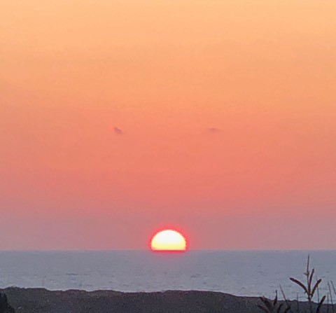 #ustica #AilantoPark #sicily #Sicilia
