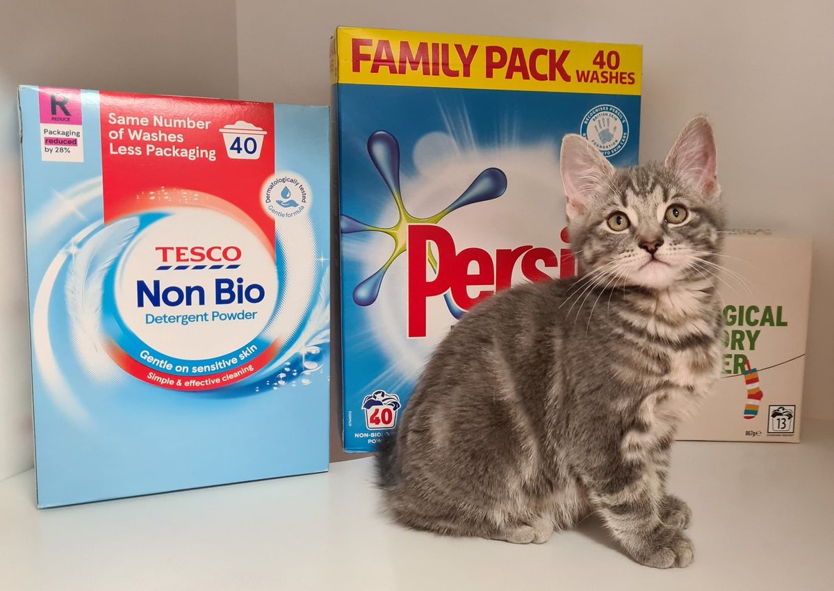 Gables Dogs & Cats Home tweet media