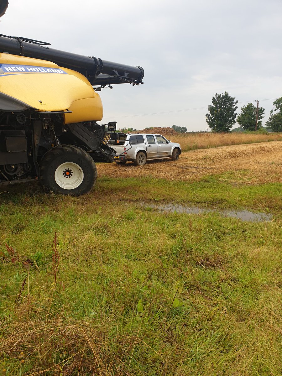 A steady 35mm overnight to dampen any dust there might have been