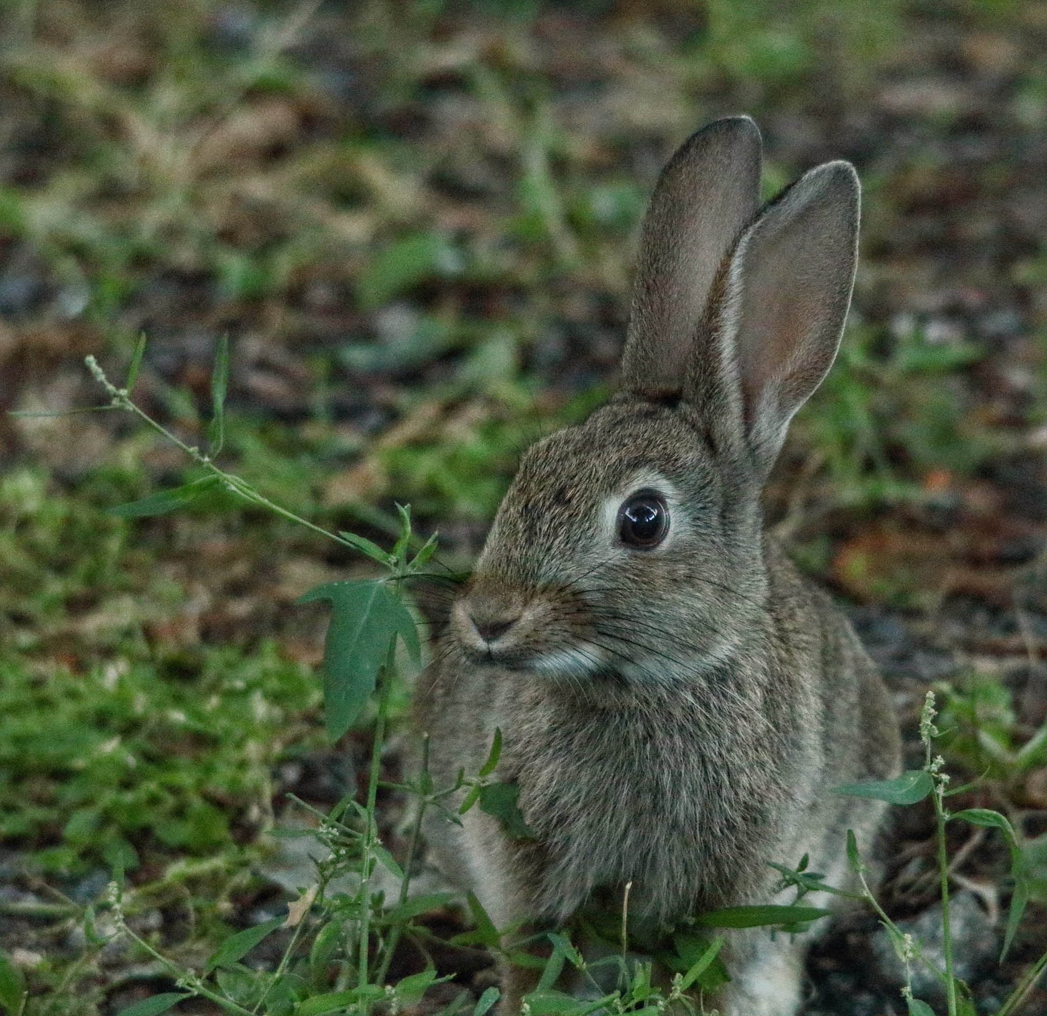 Ilpo Heikkilä on Twitter:
