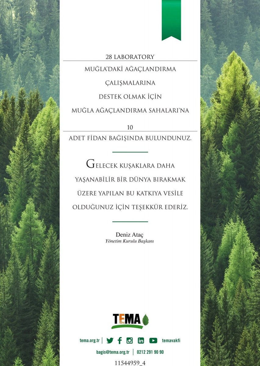 Kübra tweet media