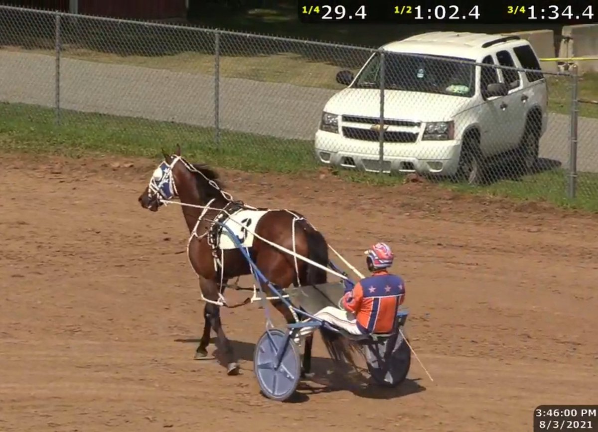 CjSomebody's tweet photo. Chitty took home the win, with Josh Kash on the bike at Lisbon yesterday! #WiggleRoom #usta #standardbred #harnessracing #fairtimeisfuntime https://t.co/oBMdNTq03E
