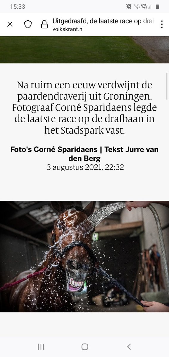 Melding mishandeling Stadspark Groningen