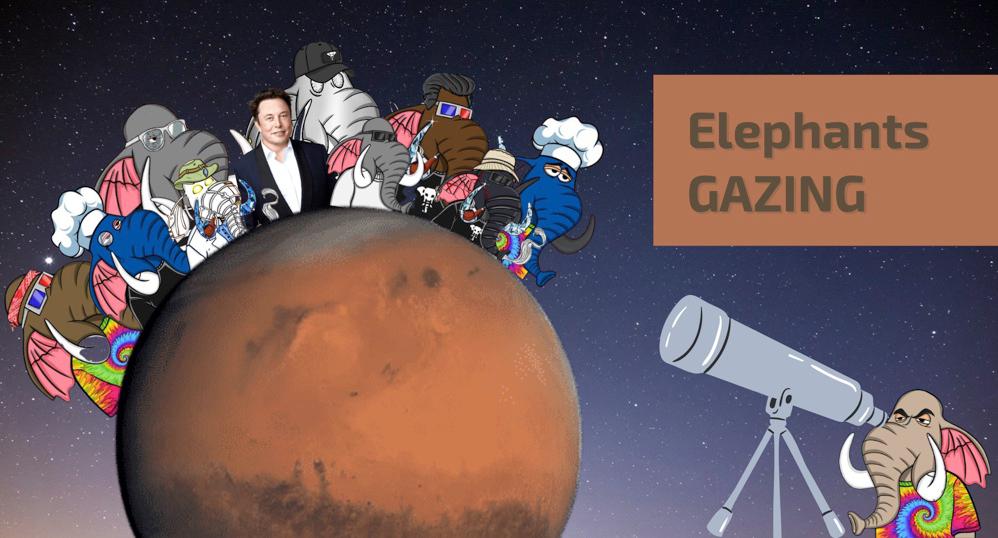 Who will be the first one to find <a href="/elonmusk/">Elon Musk</a> on Mars?
@_Mattkirk9 <a href="/Alkamist27/">Alkamist.pcc.eth</a>