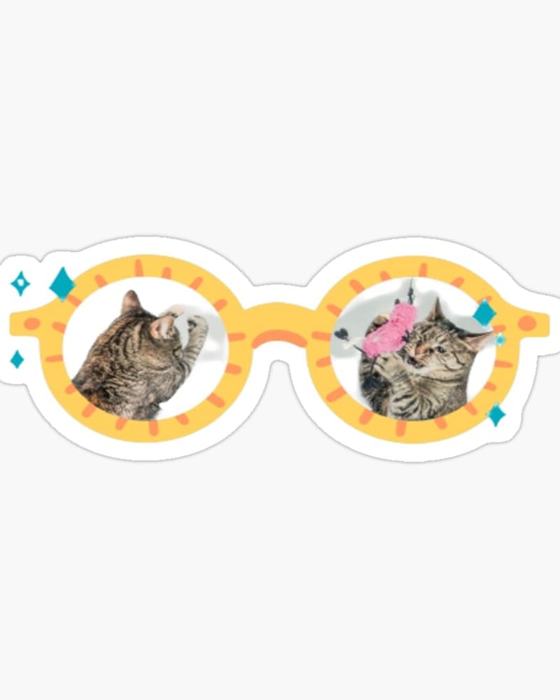 funny_cats_mims's tweet photo. T-shirt,stickers cat dispo now
Link
https://t.co/bJt5gfx7e1
#CatsOfTwitter #cat #CuteCats #tshirtcat #tshirt #findyourthing #SmallBusiness #cats https://t.co/1WCWHU89bo