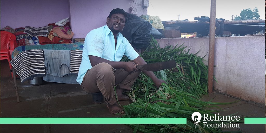 ril_foundation's tweet photo. Manjunath, a dairy farmer from Karnataka, took the training &amp; technical support of #RelianceFoundation to enhance the profitability of dairy farming. Learning about improved practices has helped him increase his yields and earnings. #RelianceFoundationTransformingLives https://t.co/zlbnIdS8ry