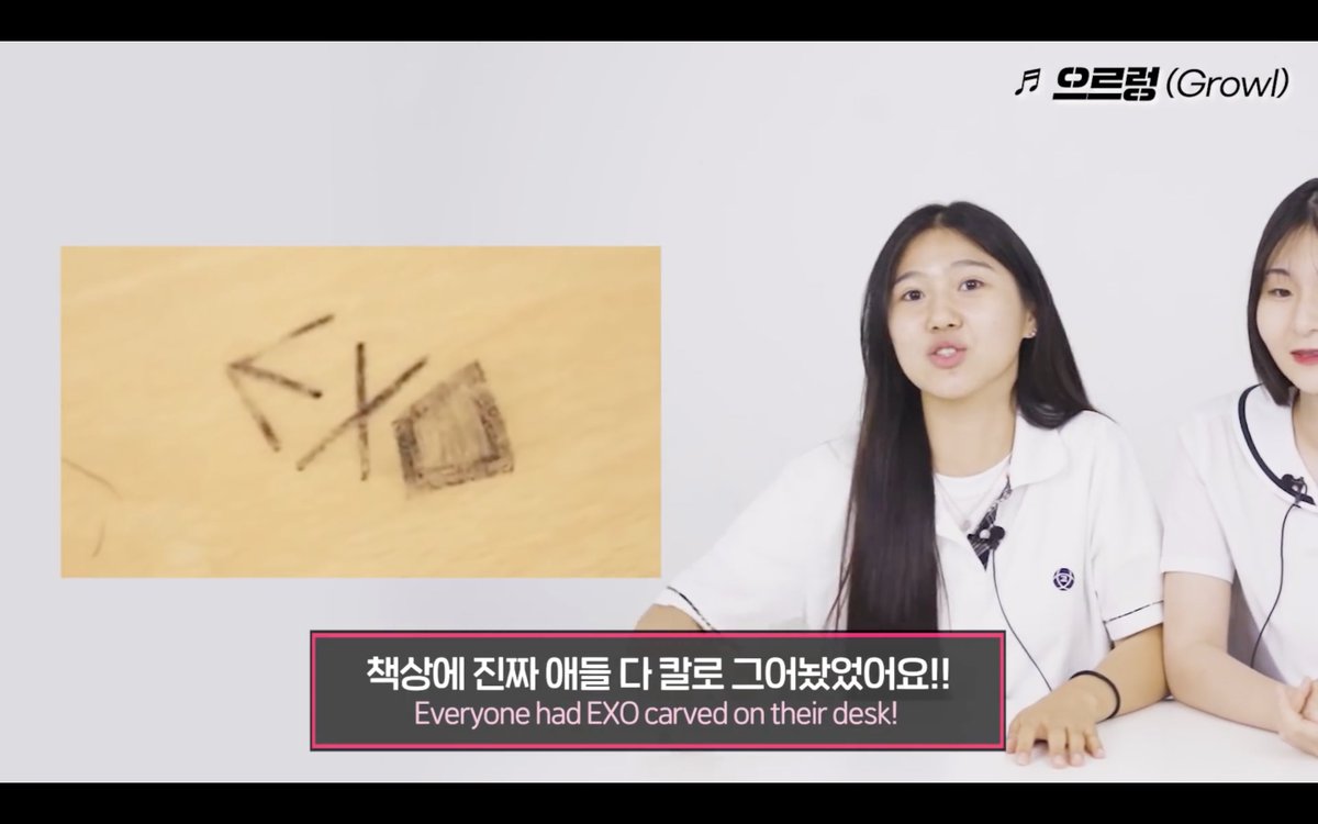 보핍 🌻 tweet media