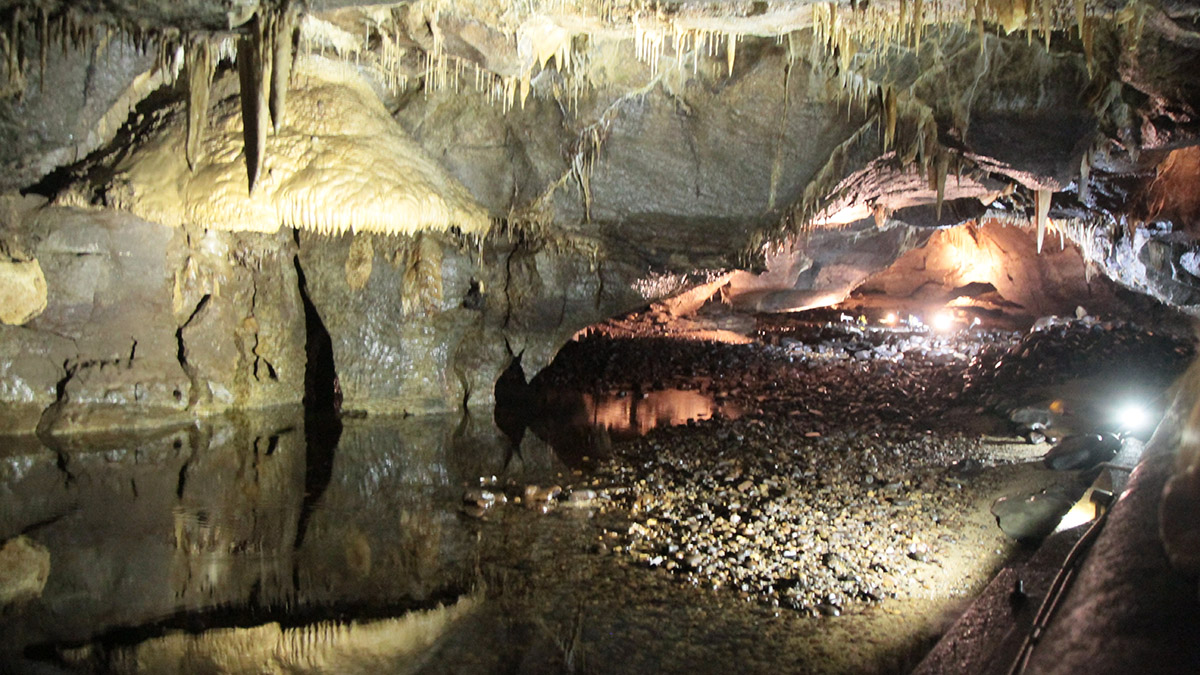 NIHolidays's tweet photo. At last we got to visit Marble Arch Caves and while we've seen many caves on our travels, these caves make for a truly magical visit! Read about our visit below 👇 @fermanaghomagh #Fermanagh #VisitFermanagh #Ireland #tourismireland #visitni
https://t.co/zKdM47pUTl https://t.co/cL4EeKUVA0