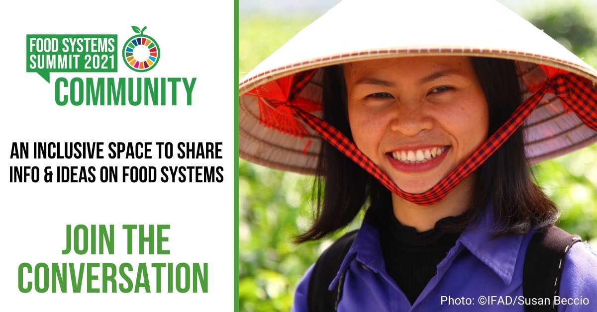 The UN Food Systems Community

An inclusive space to share info and ideas on food systems. 

Join the conversation!