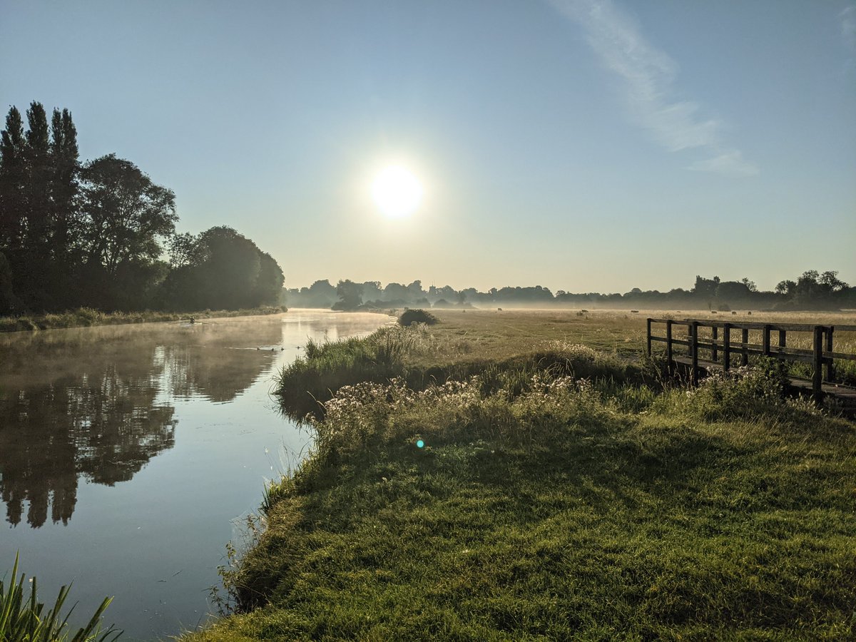 Perfect morning for paddleboarding 🙂